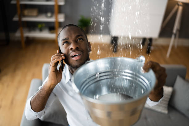 Best Flood restoration services  in Hiawatha, KS