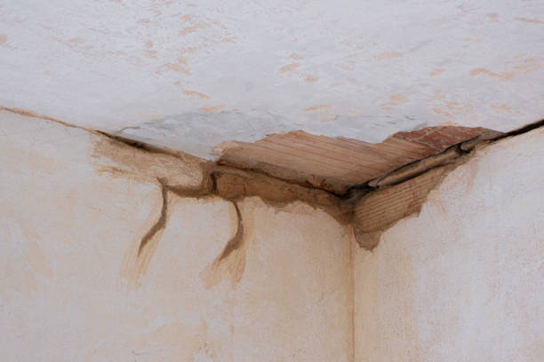 Best Water damage restoration near me  in Hiawatha, KS