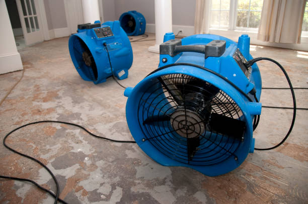 Best Mold removal after water damage  in Hiawatha, KS