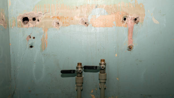 Carpet water damage restoration in KS