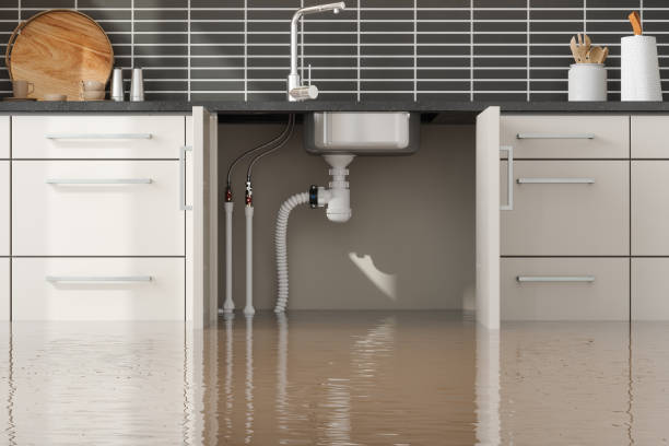 Best Local water damage restoration  in Hiawatha, KS