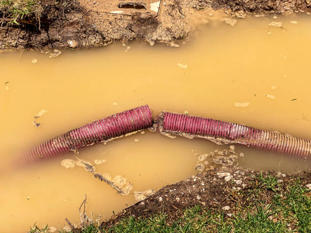 Best Basement water damage restoration  in Hiawatha, KS